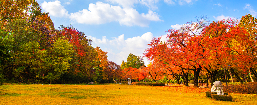 Beautiful Autumn Package